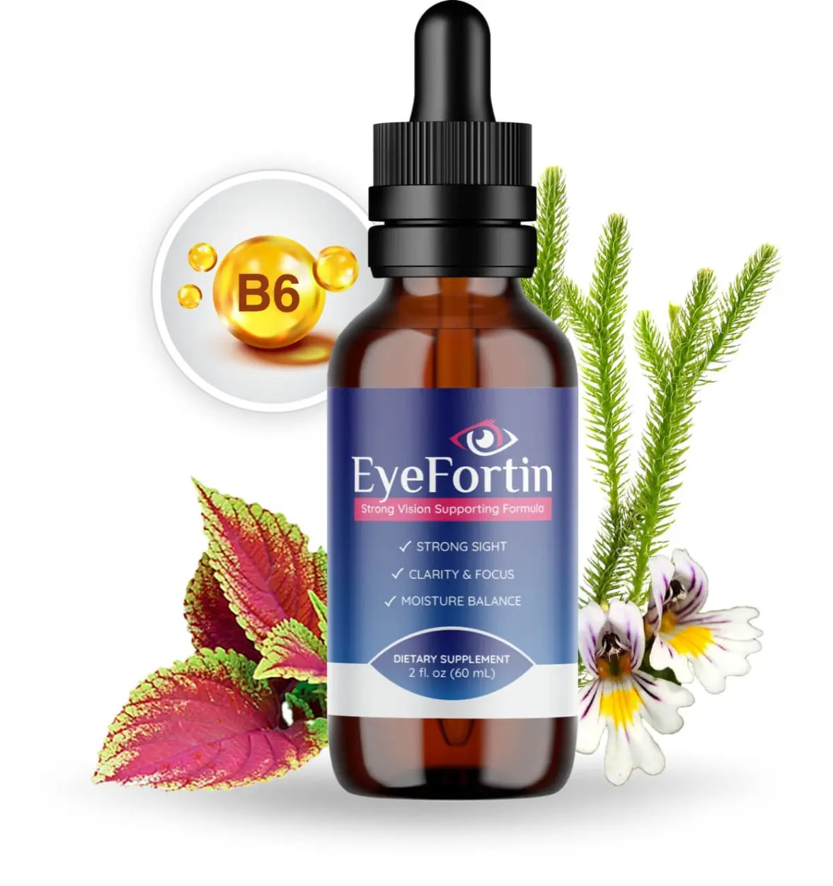 EyeFortin Buy Now